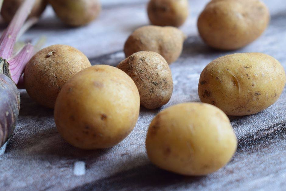 Kleine verse aardappels in een schaal op een tafel