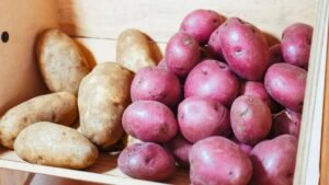 Verschillende aardappelrassen met rode en gele schil naast elkaar