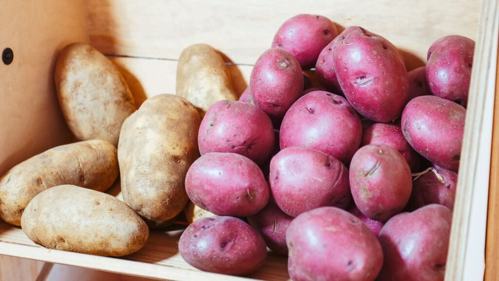 Geoogste aardappels in een houten kist om te bewaren