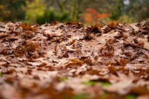 Hoop herfstbladeren met een hark