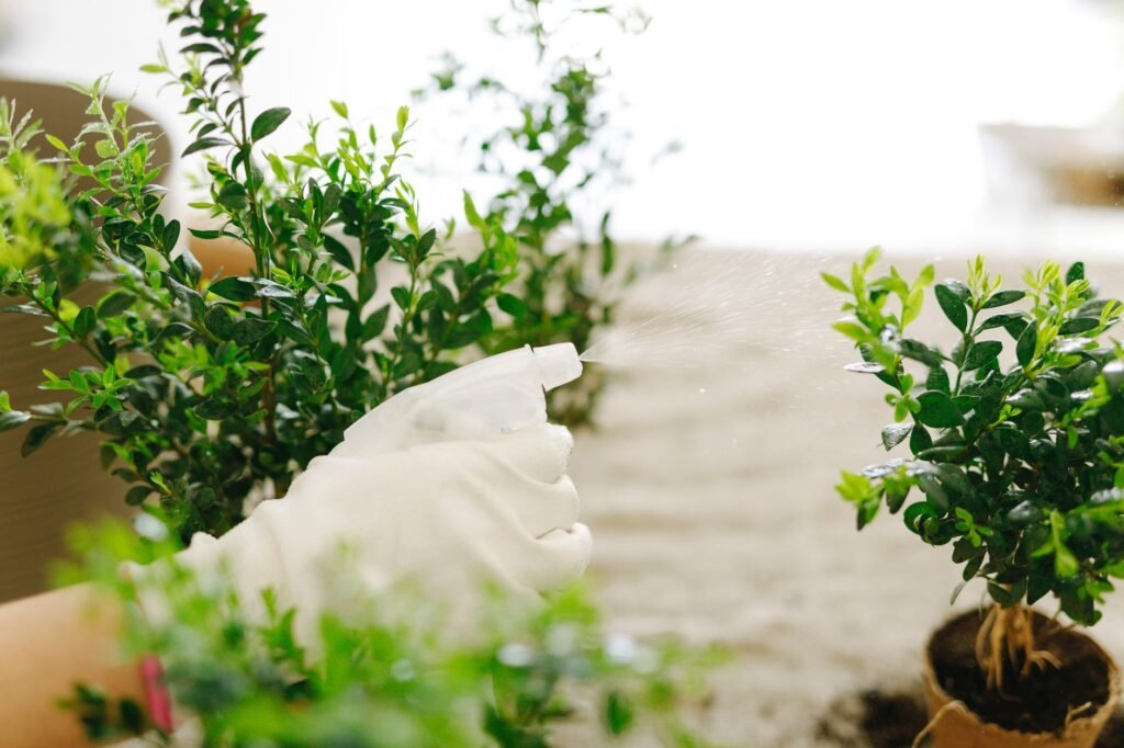 Planten die met water worden besproeid