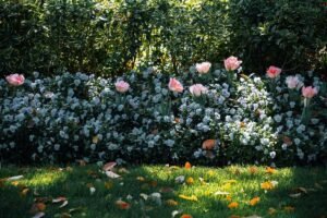 Bloemenborder met vaste planten in een tuin