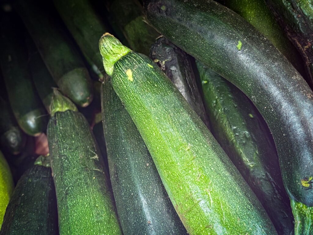 Geoogste courgettes