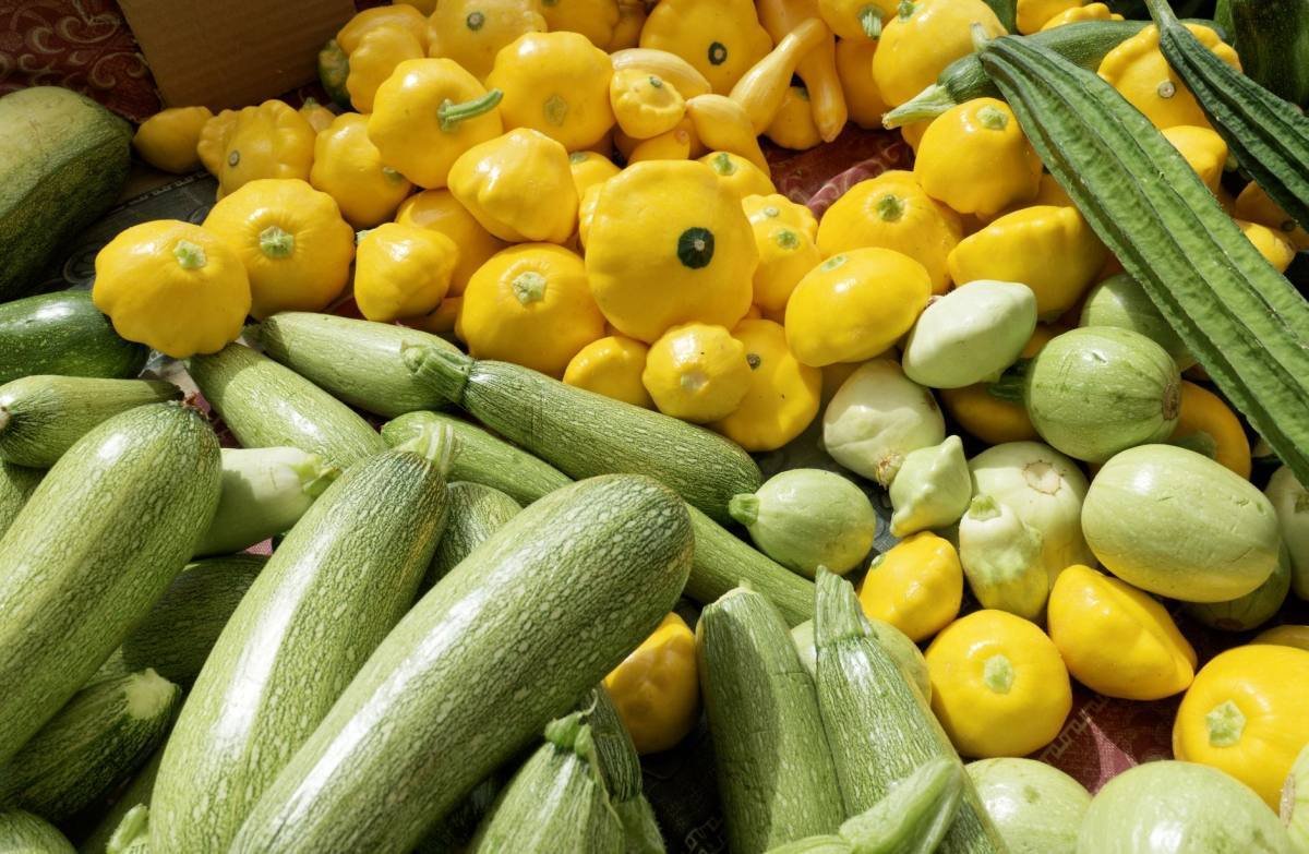 Gele, groene en ronde courgettes naast elkaar op een houten ondergrond