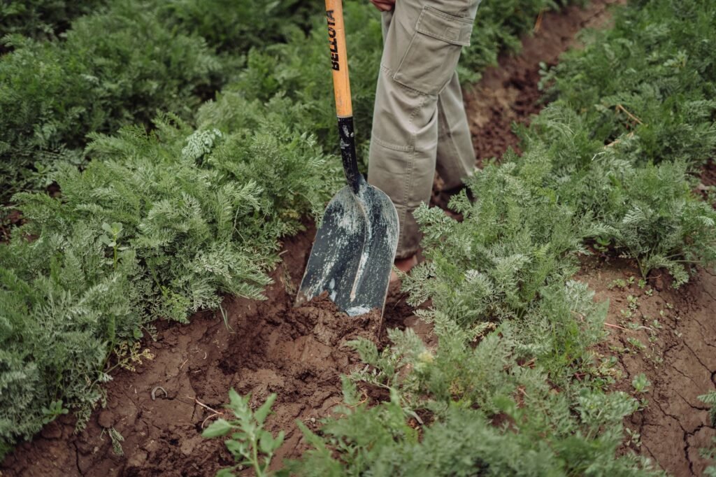 Iemand steekt met een schep in de grond van een moestuin