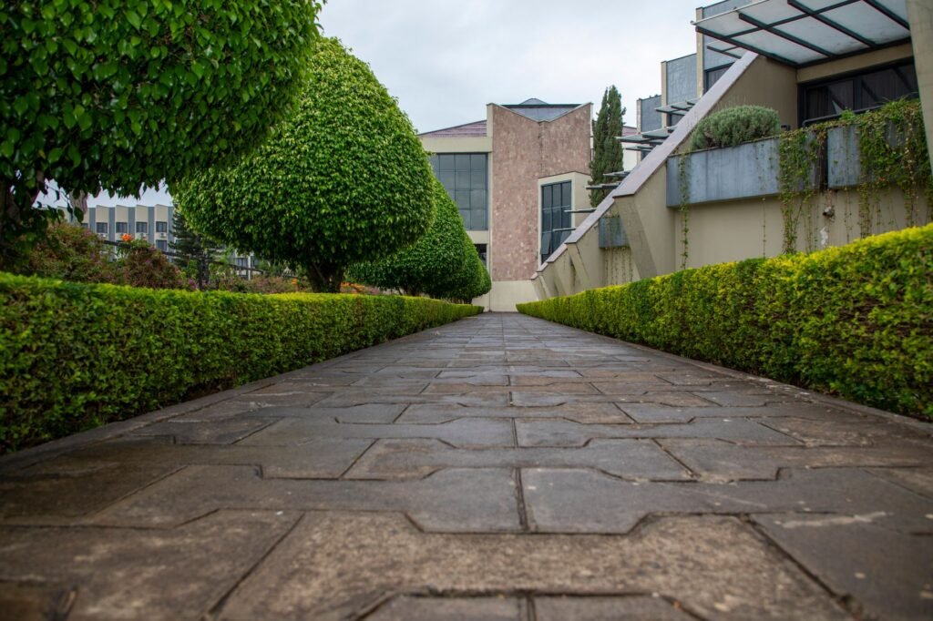 Strak geschoren haag in een tuin