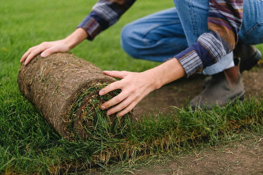 Graszoden die worden gelegd