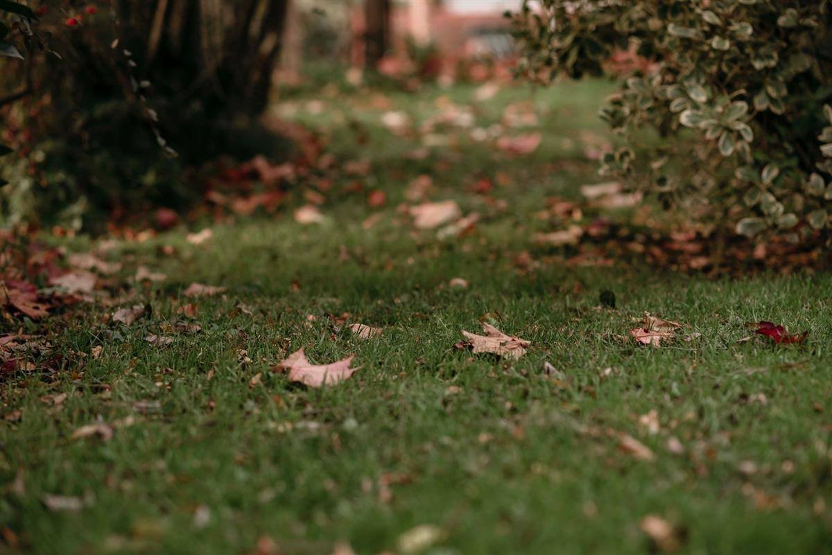 Bladeren harken op een gazon in de herfst