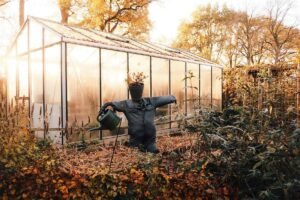 Zaaien van groenten in een moestuinbed