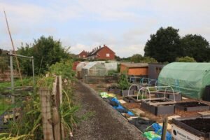 Klein moestuinbed met verschillende groenten in rijen