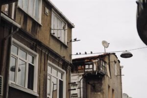 Kruiden in potten op een balkon