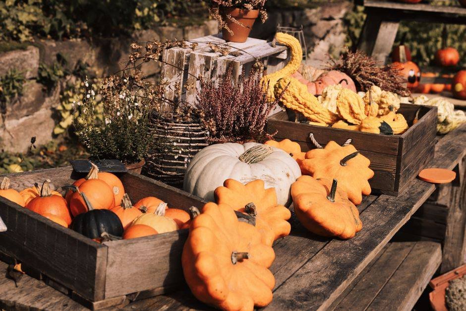 Moestuin in het najaar met herfstkleuren en late gewassen