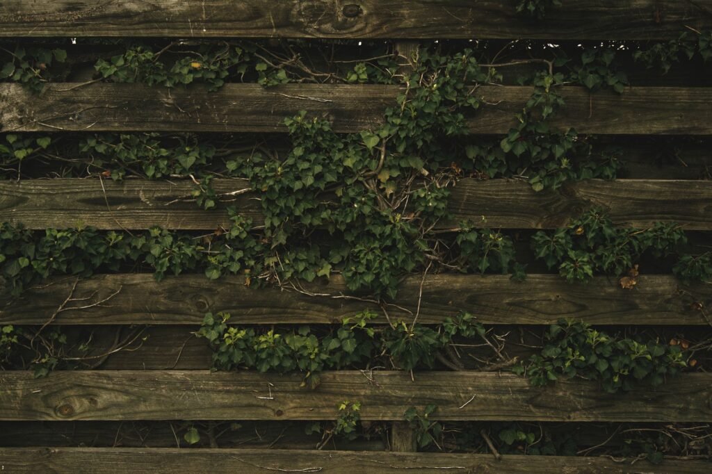Houten schutting in een tuin