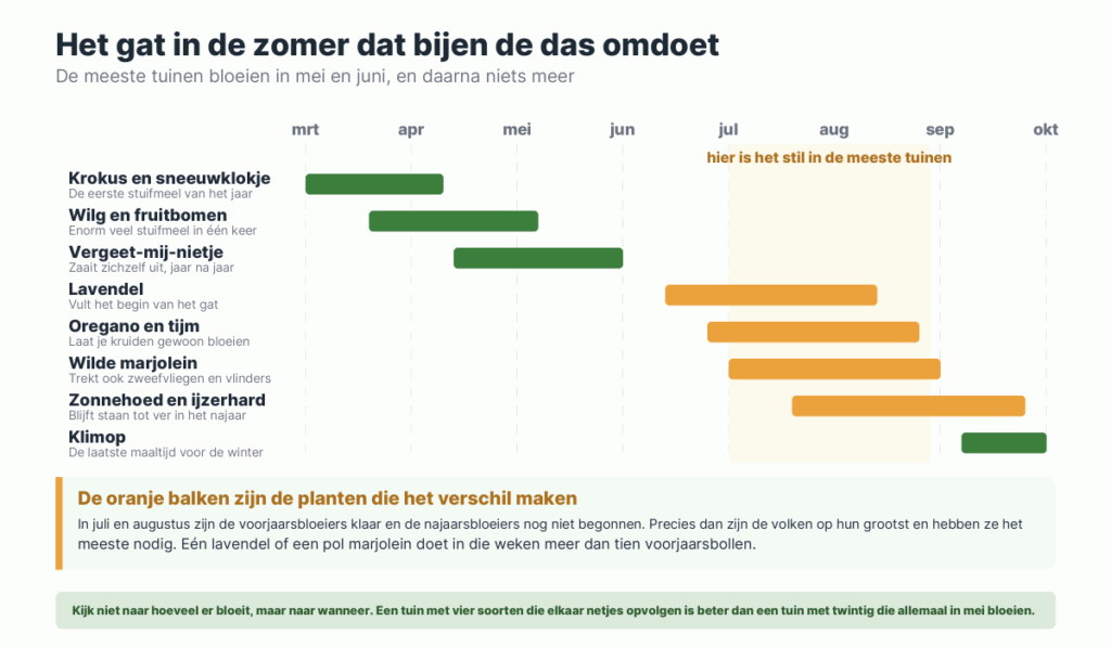 Bloeiperiodes van acht tuinplanten van maart tot oktober, met het gat in juli en augustus waarin