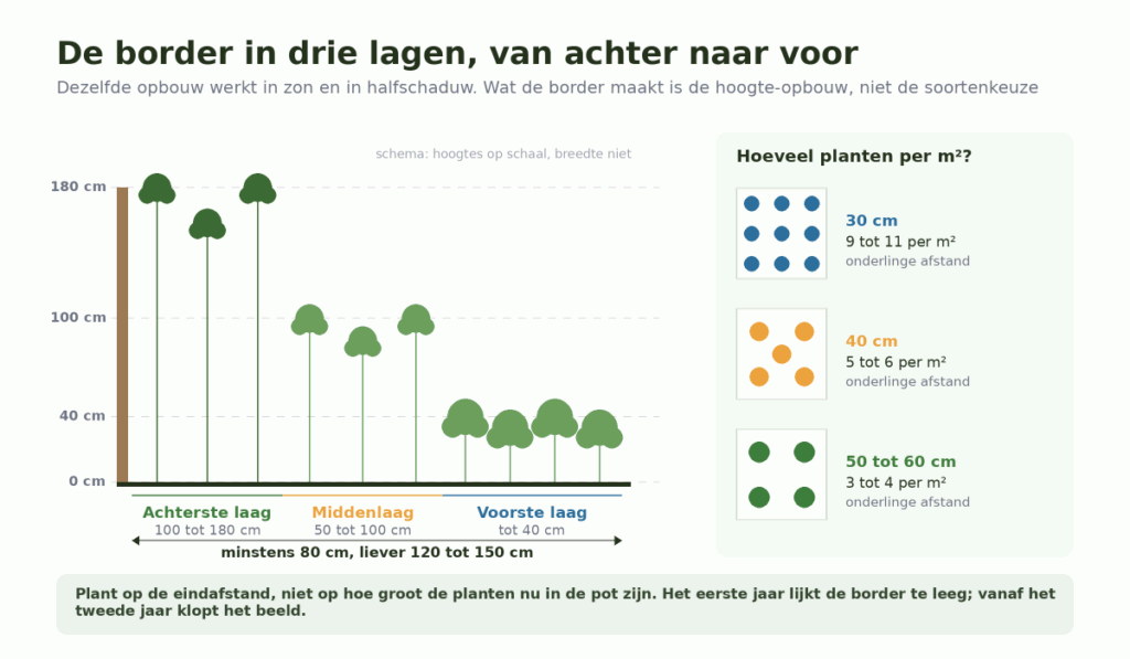 Doorsnede van een border tegen een schutting met de achterste laag van 100 tot 180 cm