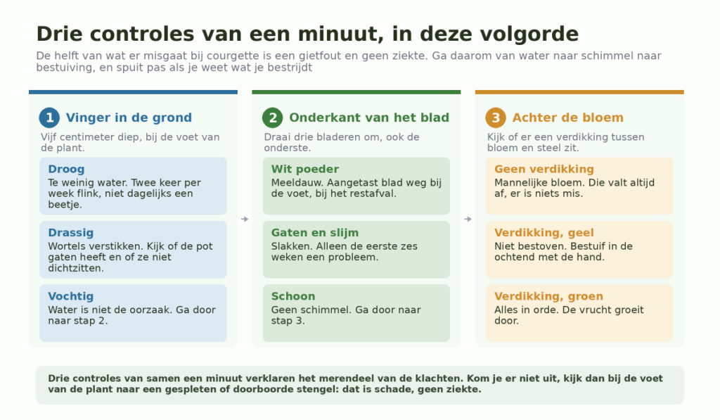 Schema van drie controles naast elkaar: vinger in de grond, onderkant van het blad en achter