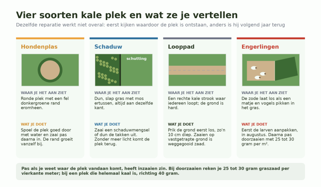 Vier stukjes gazon naast elkaar met de kale plek van een hondenplas, van schaduw bij een schutting
