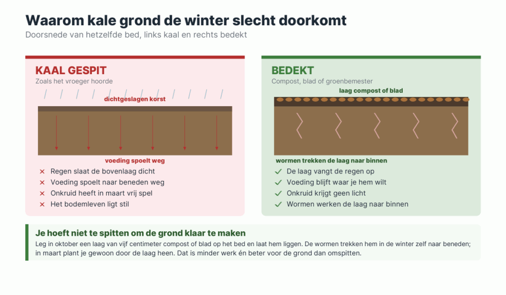 Doorsnede van twee moestuinbedden: links kaal gespit met een dichtgeslagen korst, rechts bedekt