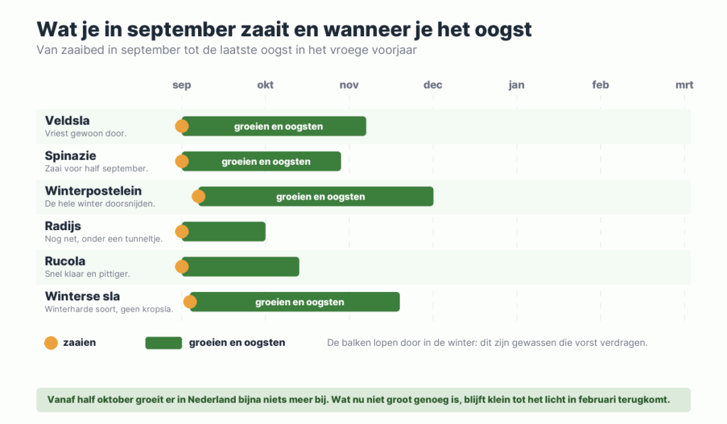 Tijdbalk van september tot maart met zes gewassen, het moment van zaaien en de periode waarin je ze