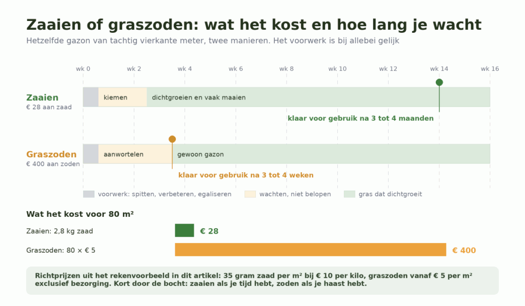 Tijdbalk van zestien weken met daarin zaaien, dat na ongeveer veertien weken bruikbaar