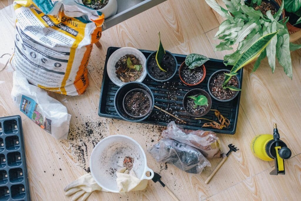 Klein potje met grond ingegraven naast een plant om een stek te wortelen