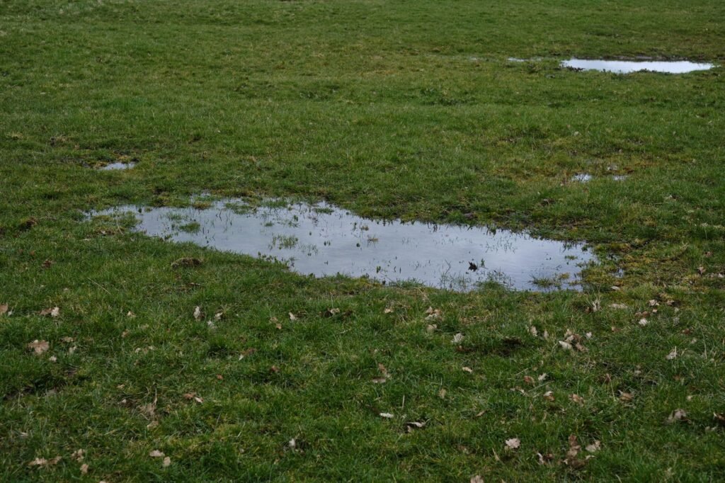 Plas water in een natte tuin