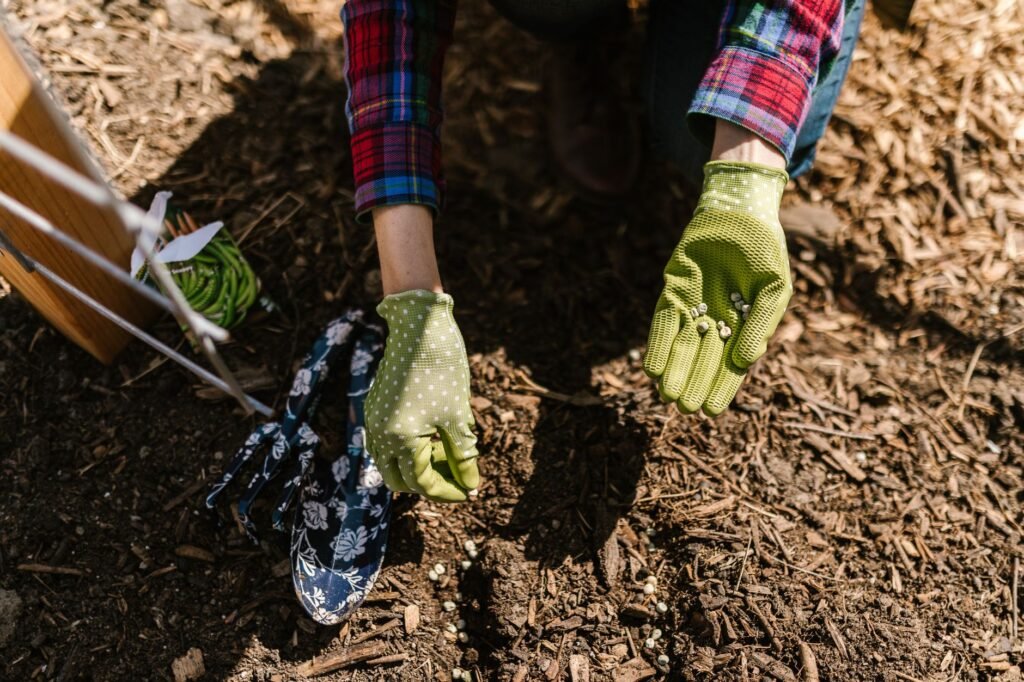 Iemand zaait met handschoenen aan zaad uit in de tuin