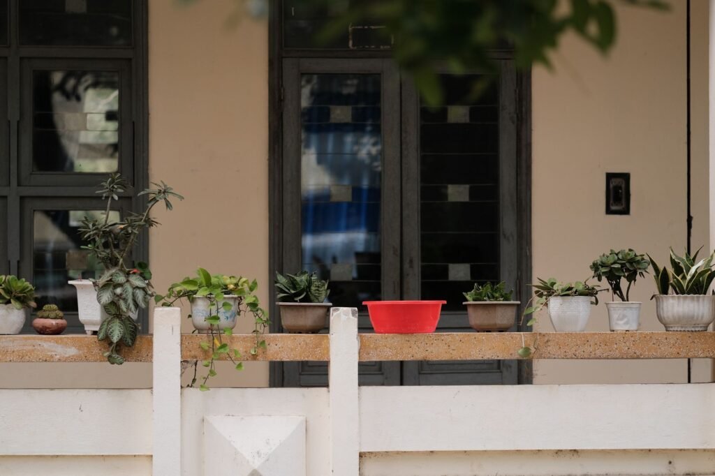 Planten in potten op een balkon