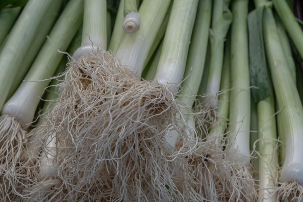 Net geoogste prei met wortels