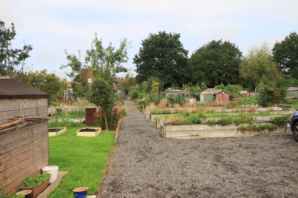 Moestuin met verschillende gewassen