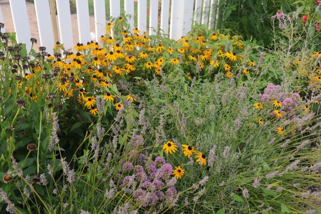 Border met vaste planten